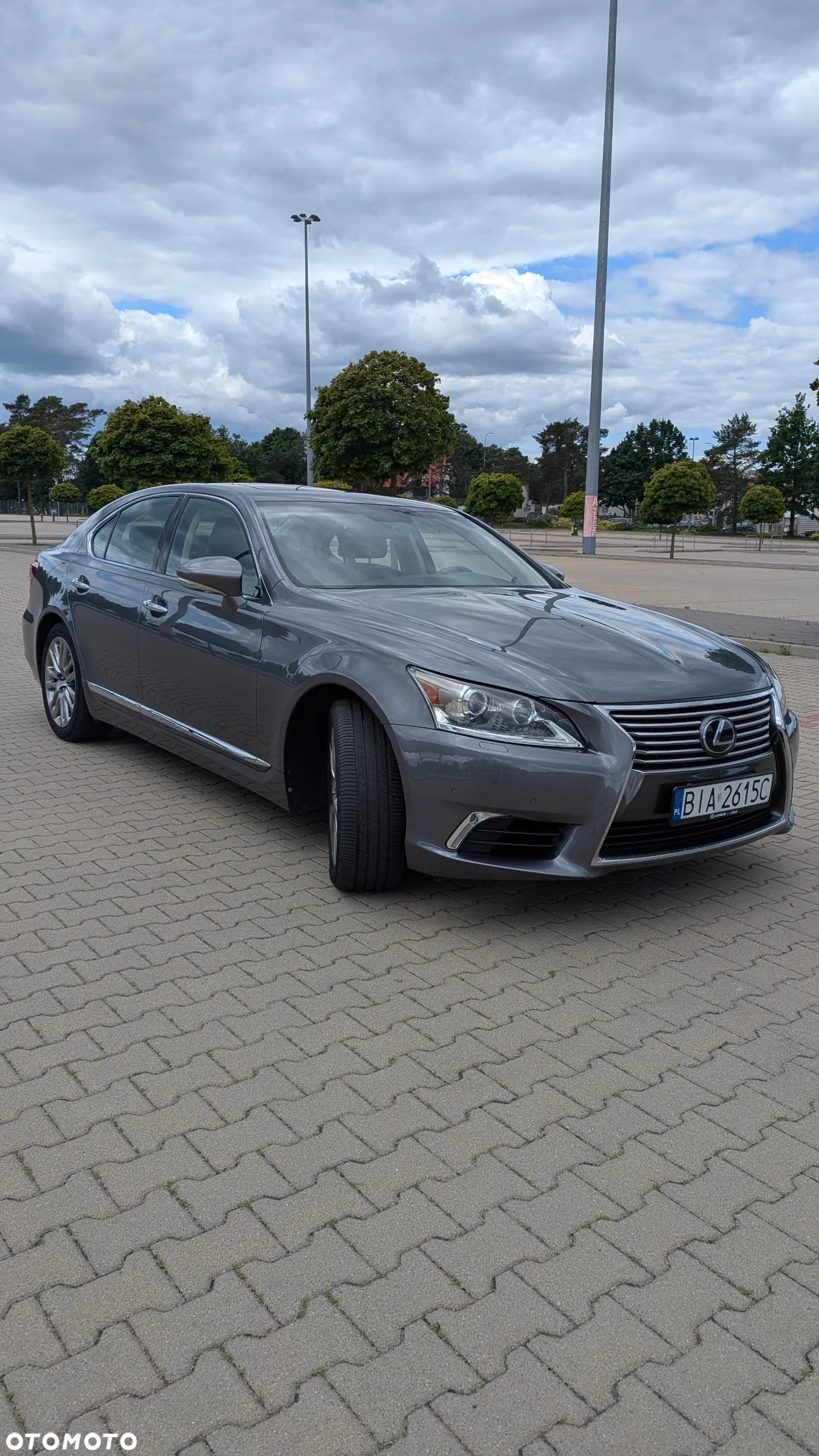 Lexus LS 460 Elite AWD - 2