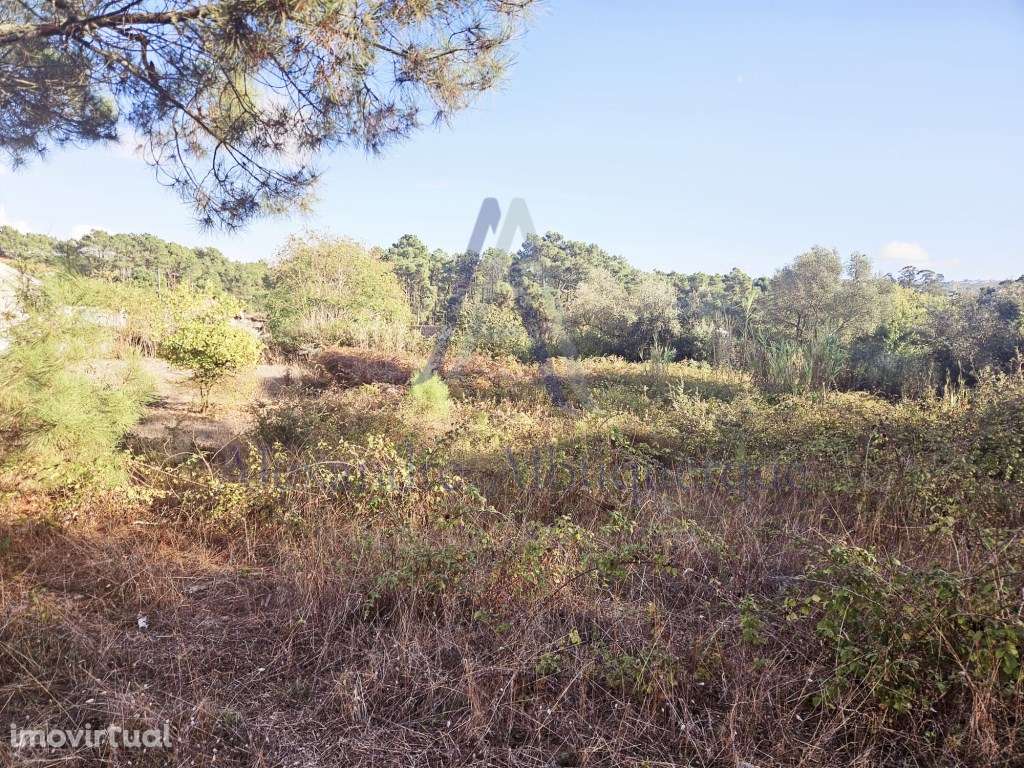 Excelente oportunidade de investimento ! - Grande imagem: 4/12