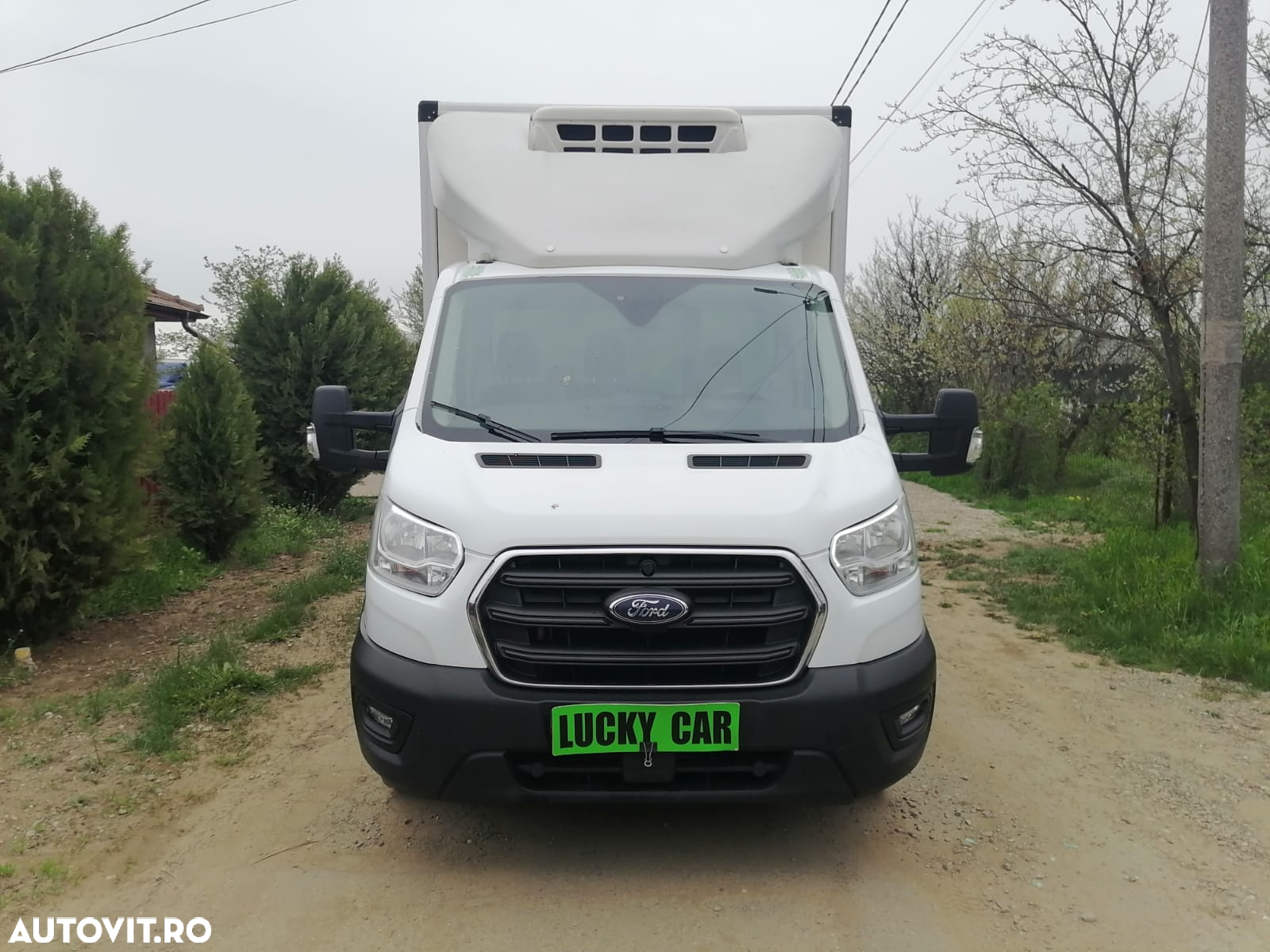 Ford Transit Frigorifica / Congelare / Punte dubla - 8