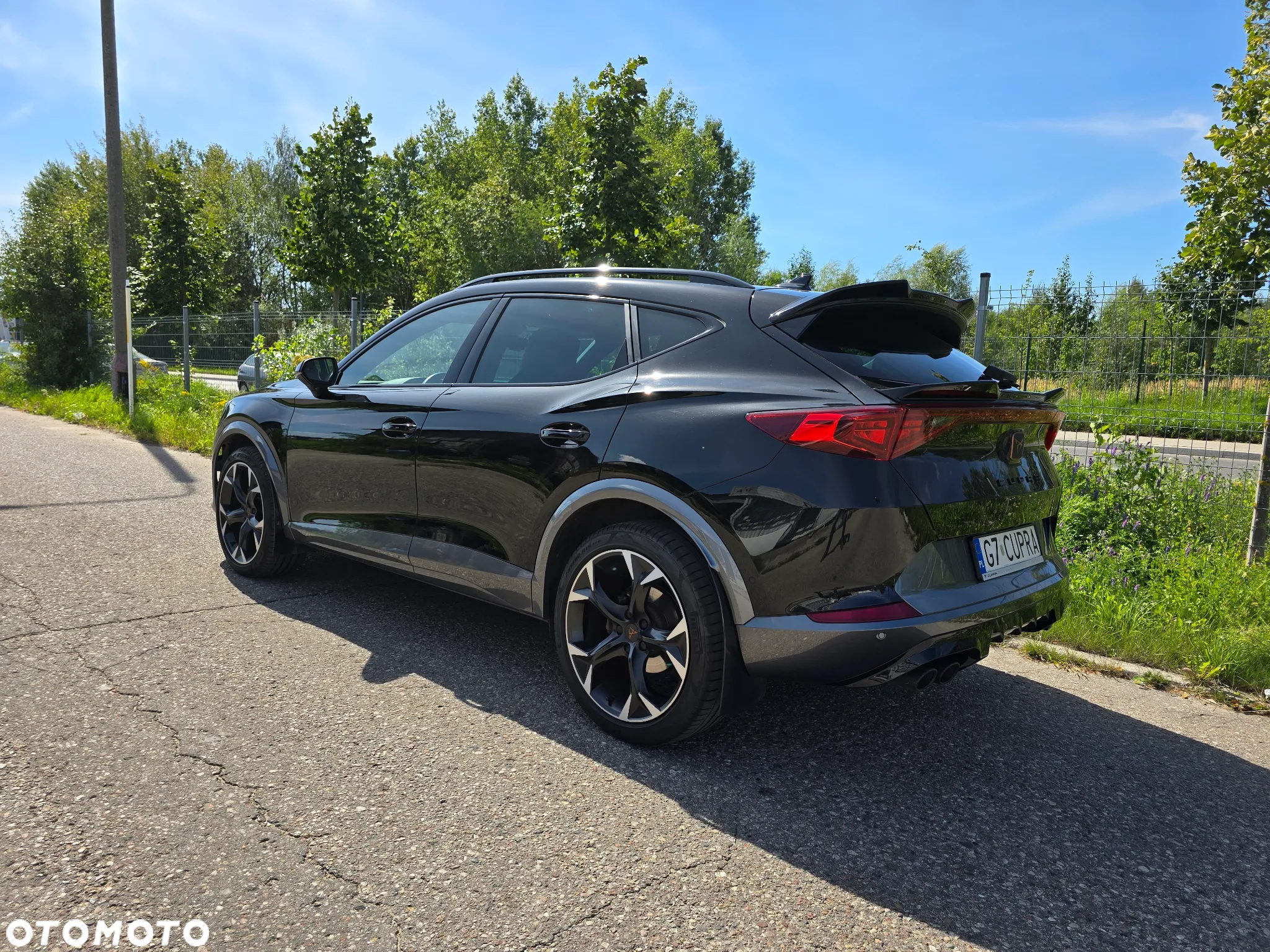 Cupra Formentor 2.0 TSI 4Drive DSG - 4
