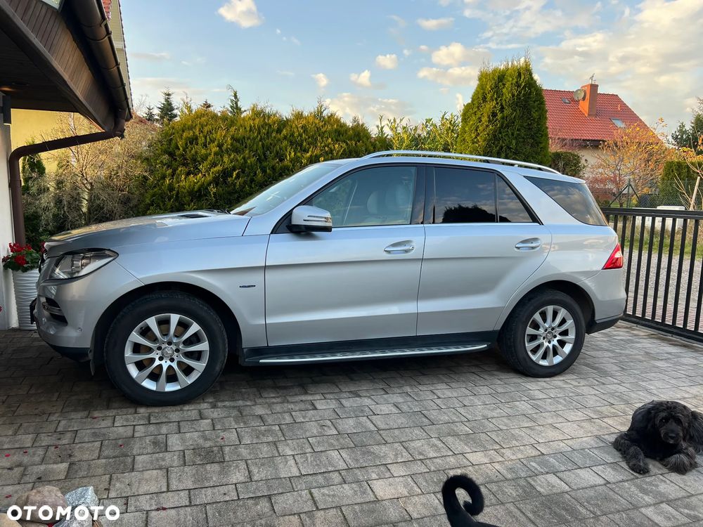 Mercedes-Benz ML 250 BlueTEC 4-Matic - 2
