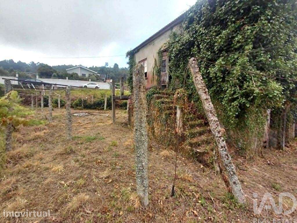 Casa de Campo T3 em São Paio de 57 m2 - Grande imagem: 2/17