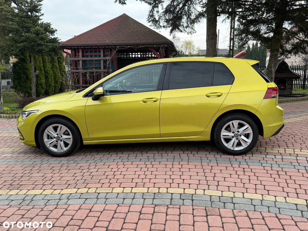 Volkswagen Golf 1.5 TSI OPF Life - 12