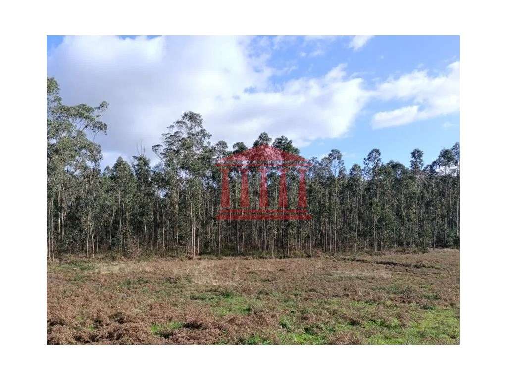 TERRENO PARA CONSTRUÇÃO PARA VENDA EM BARCELOS - Grande imagem: 3/7