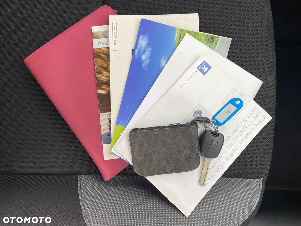 Peugeot 207 75 Urban Move - 40