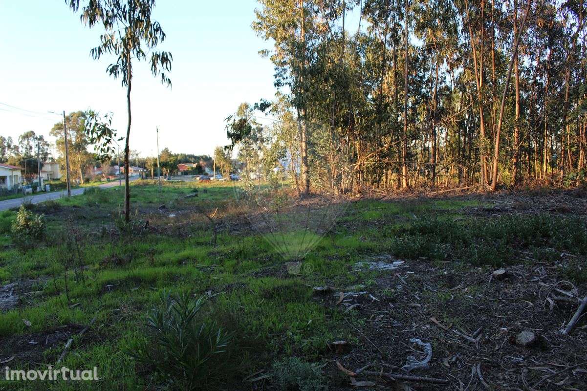Terreno  para Venda - Grande imagem: 3/7