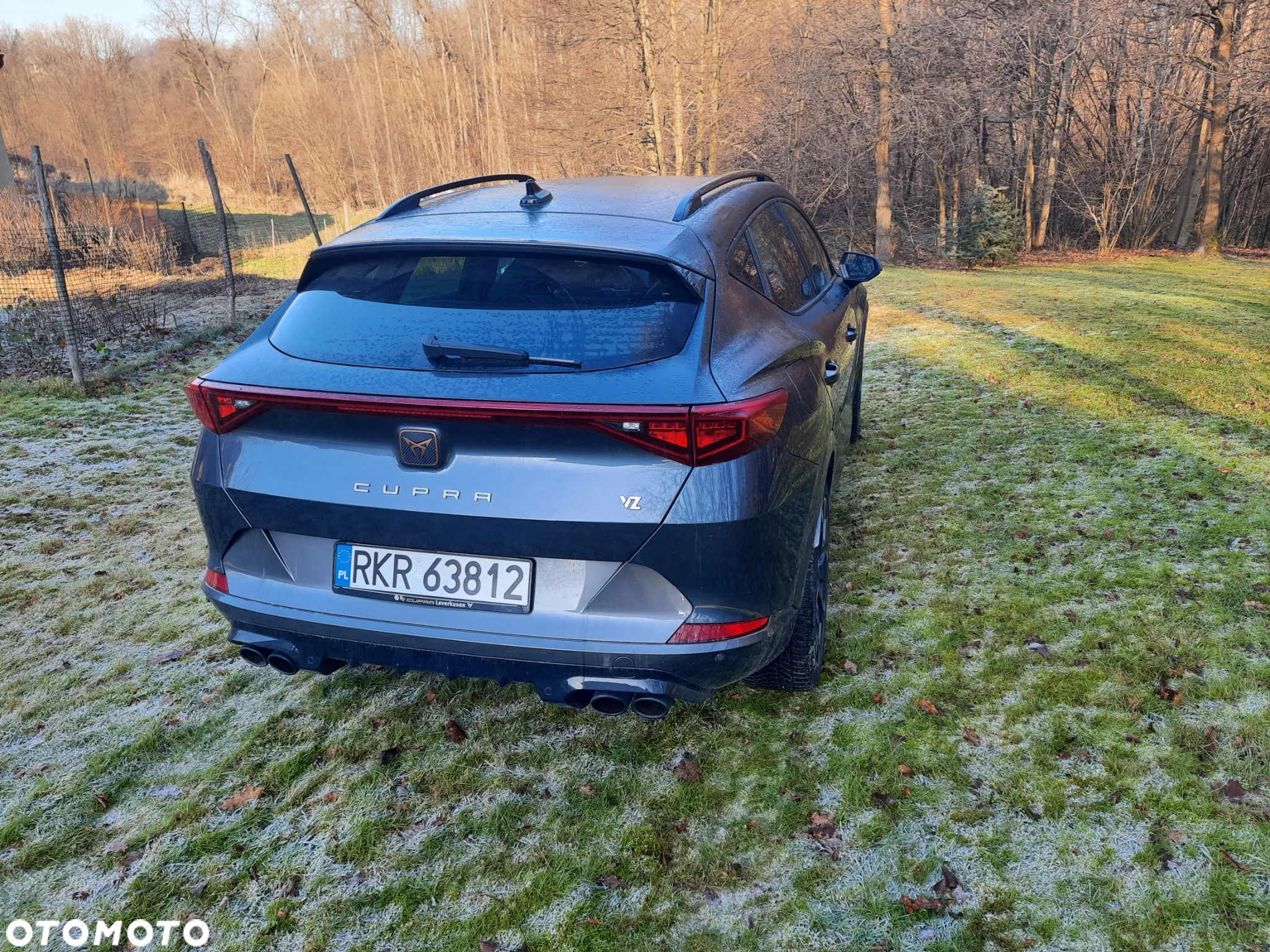 Cupra Formentor VZ 2.0 TSI 4Drive DSG - 9