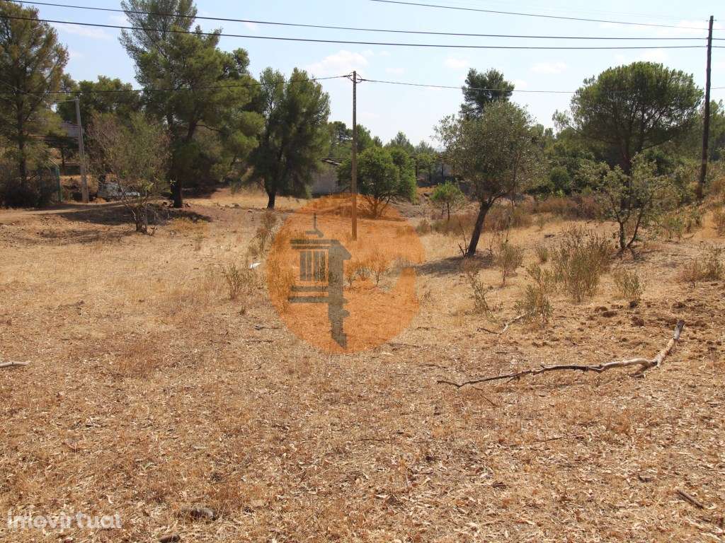 TERRENO COM 113.000 M2 - COM ÁGUA - ELETRICIDADE - ESTUFAS - PARA C... - Grande imagem: 4/18