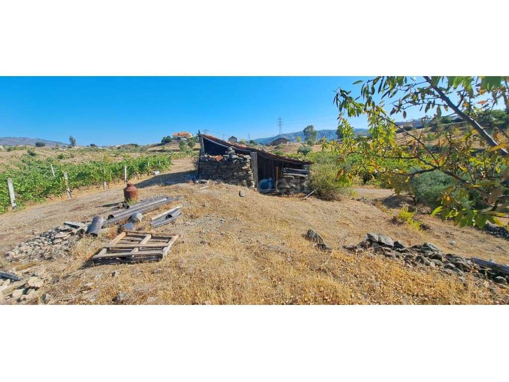 Terreno de 2 Ha, em Foz do Sabor, Torre de Moncorvo. - Grande imagem: 4/12