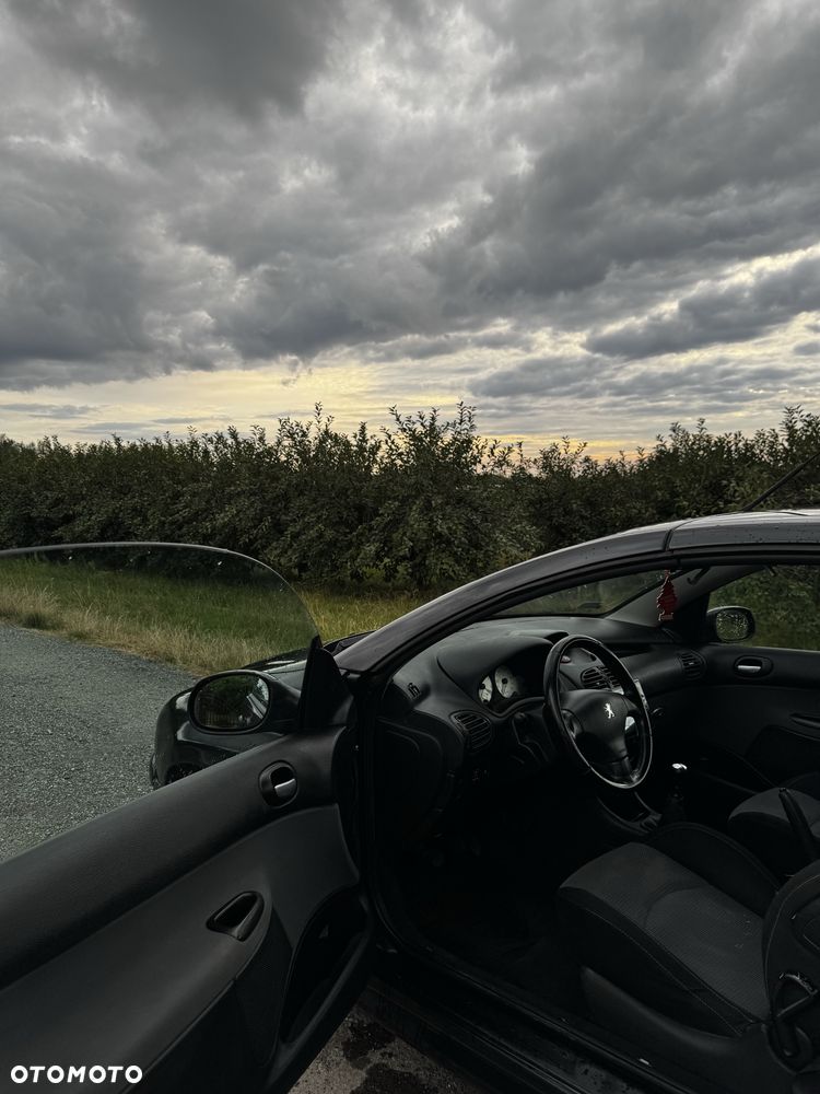 Peugeot 206 - 5