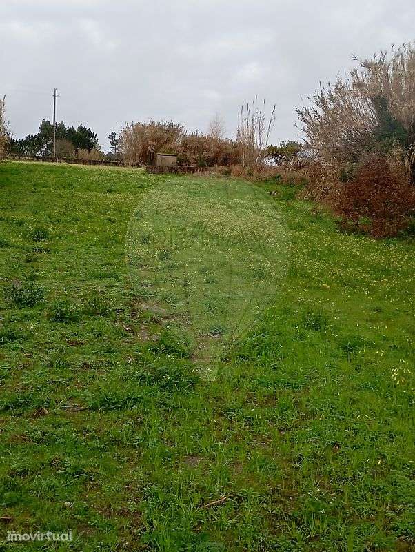 Terreno  para venda - Grande imagem: 3/33