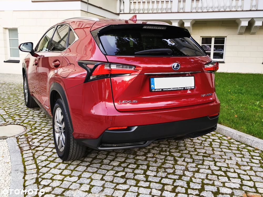 Lexus NX 300h Comfort AWD - 19