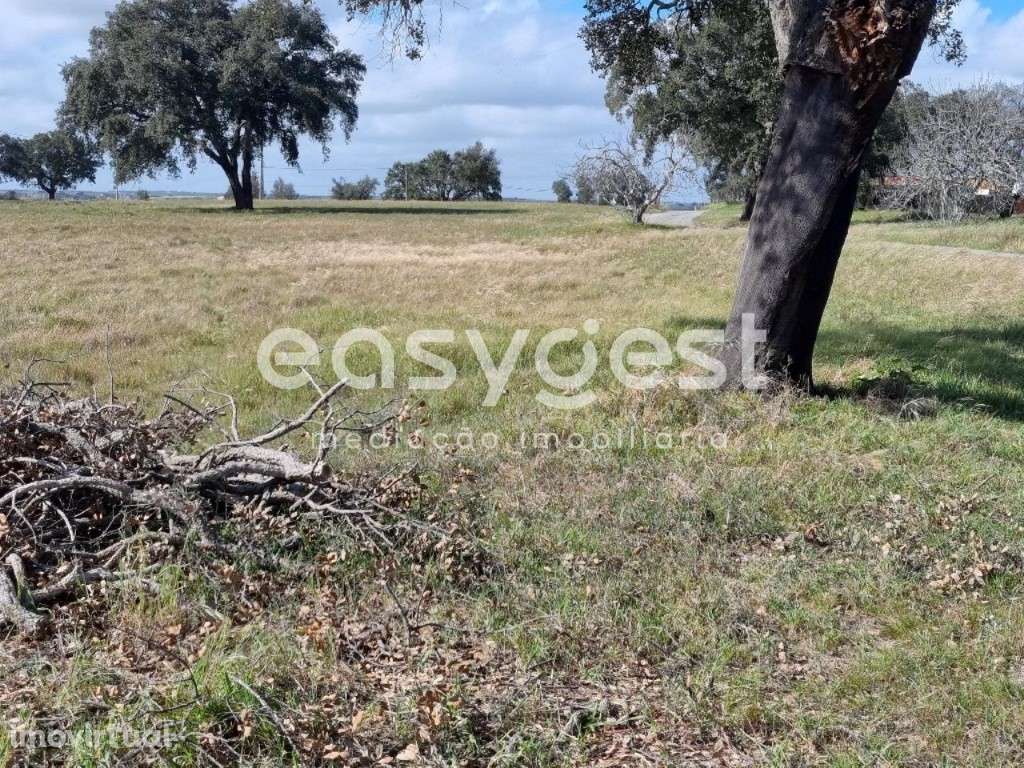 Monte em Ferreira do Alentejo c/ moradia T2 - Beja - Grande imagem: 2/24