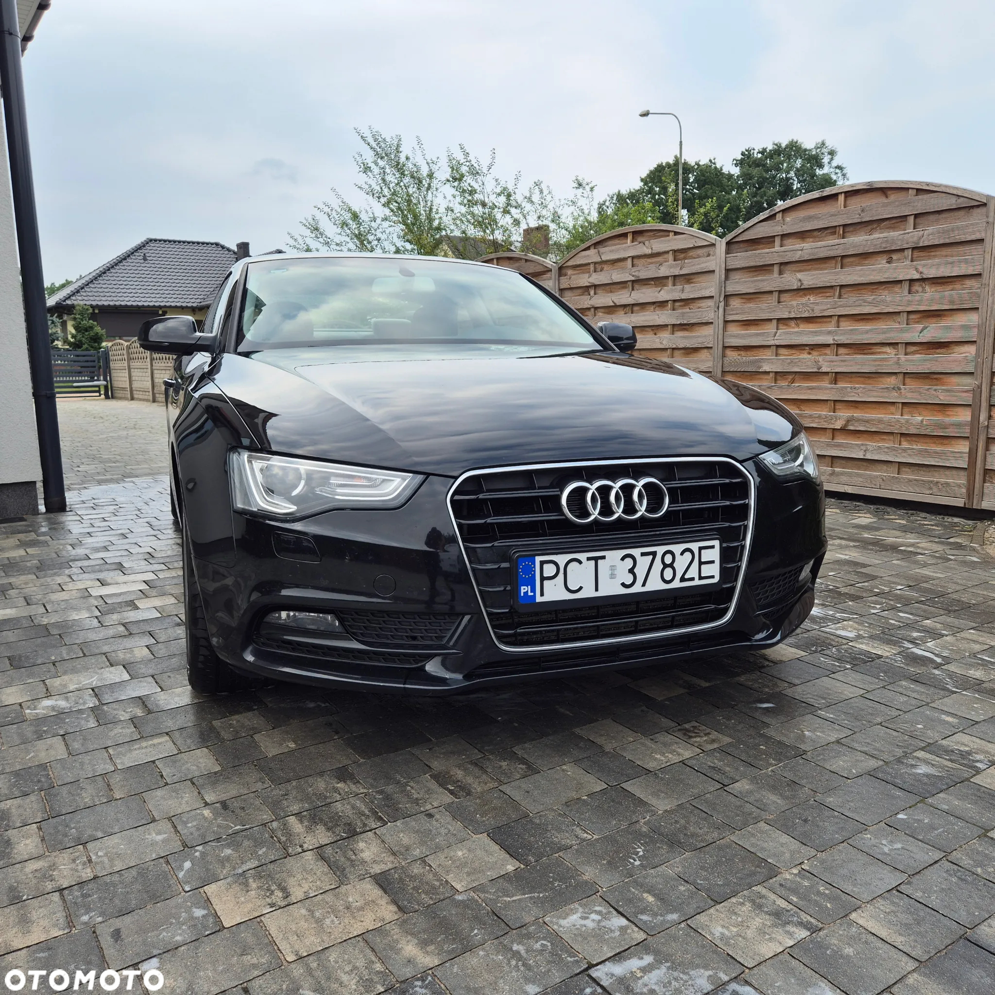 Audi A5 Coupe 3.0 TDI - 2