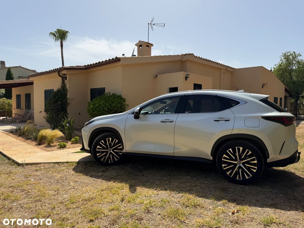 Lexus NX 350h Omotenashi AWD - 19