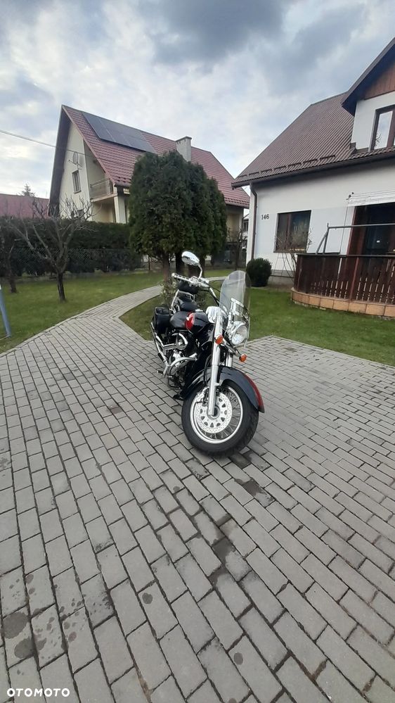 Suzuki VL 800 Volusia - 5