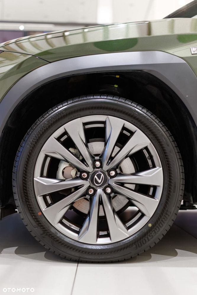 Lexus UX 300h F Sport Design - 13