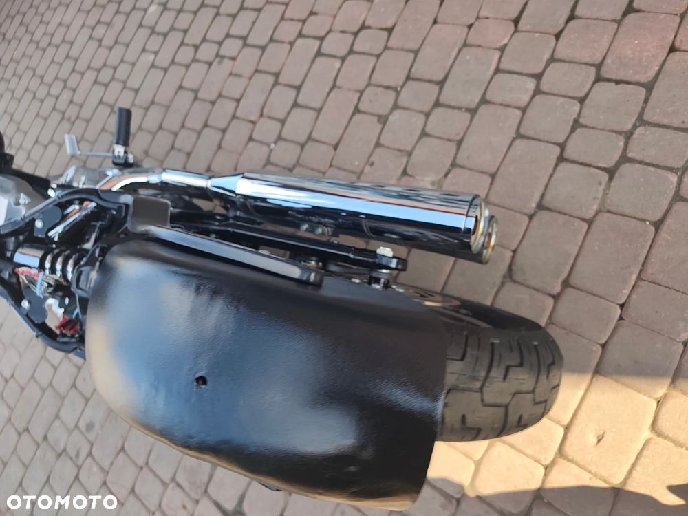 Harley-Davidson Softail Standard - 17