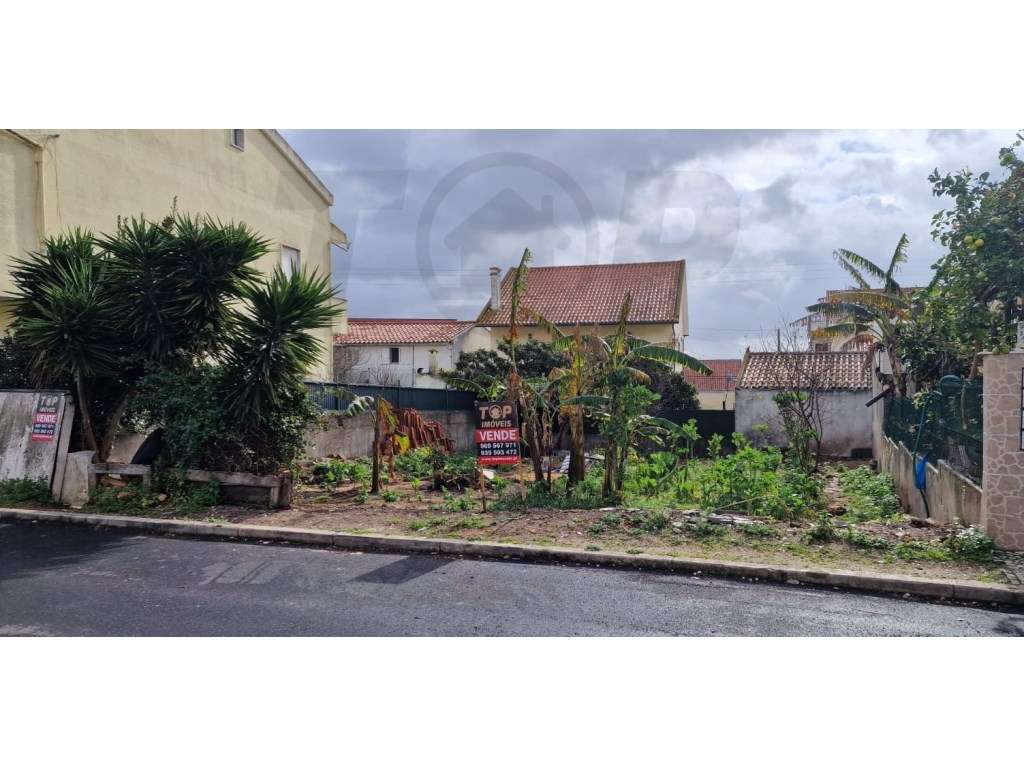 Terreno Para Construção - Estacal Novo - 99.000€ - Grande imagem: 4/4