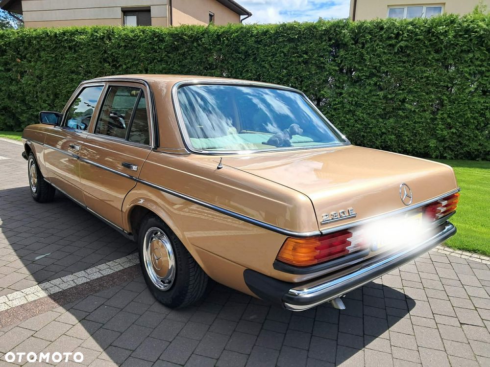 Mercedes-Benz W123 - 21