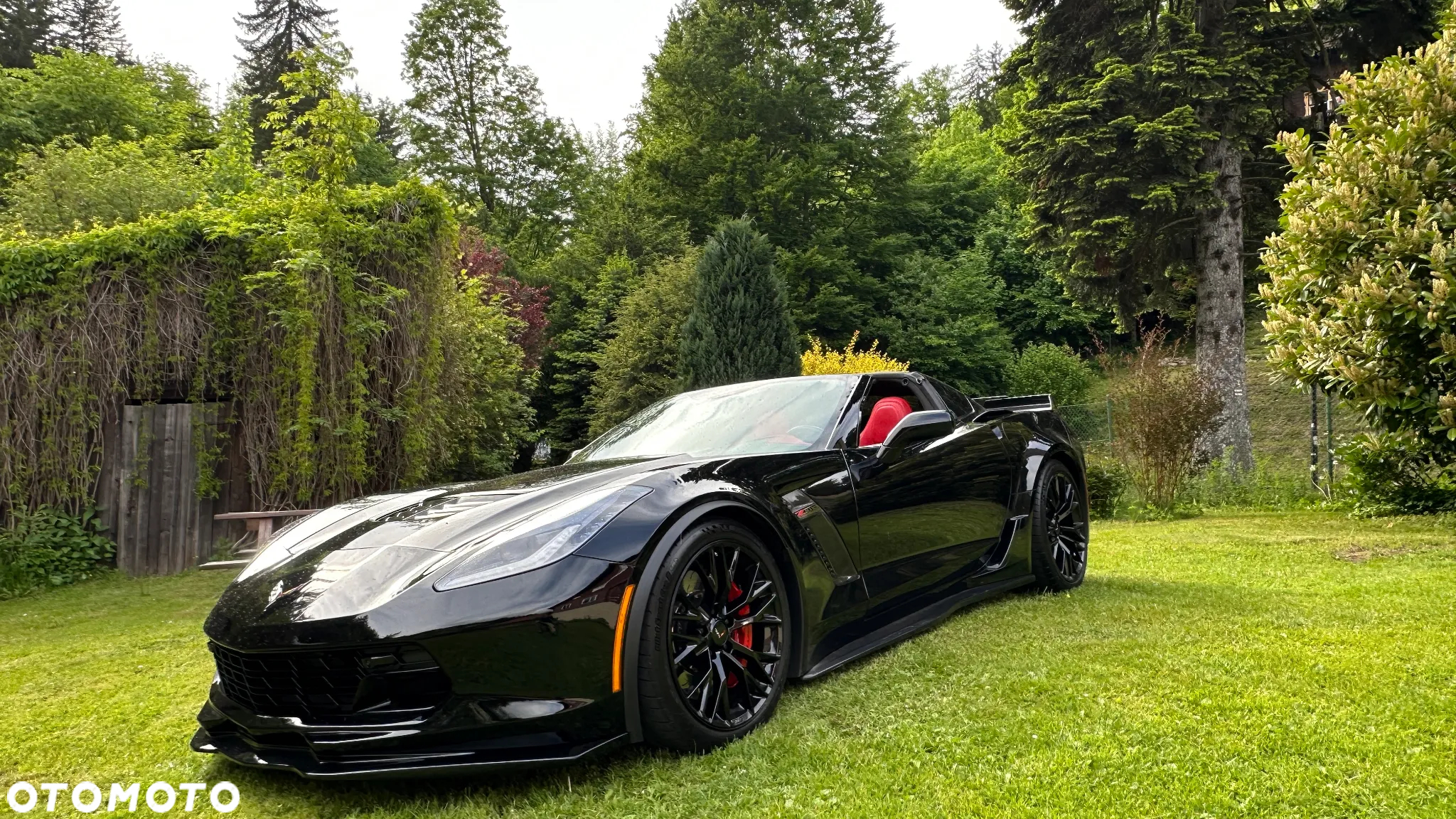Chevrolet Corvette - 16