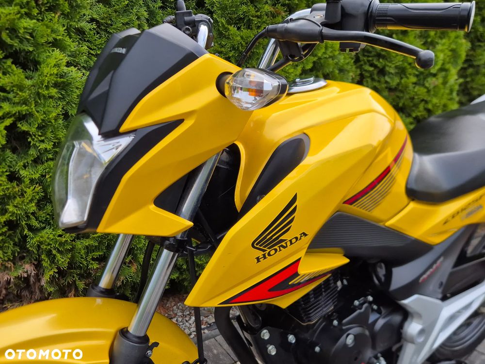 Honda CBF - 17