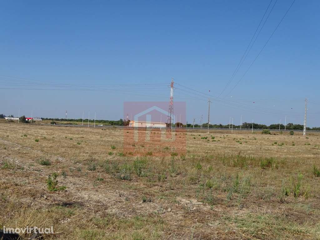 Terreno Agrícola com 21.430 m2 em Benavente - Grande imagem: 4/10
