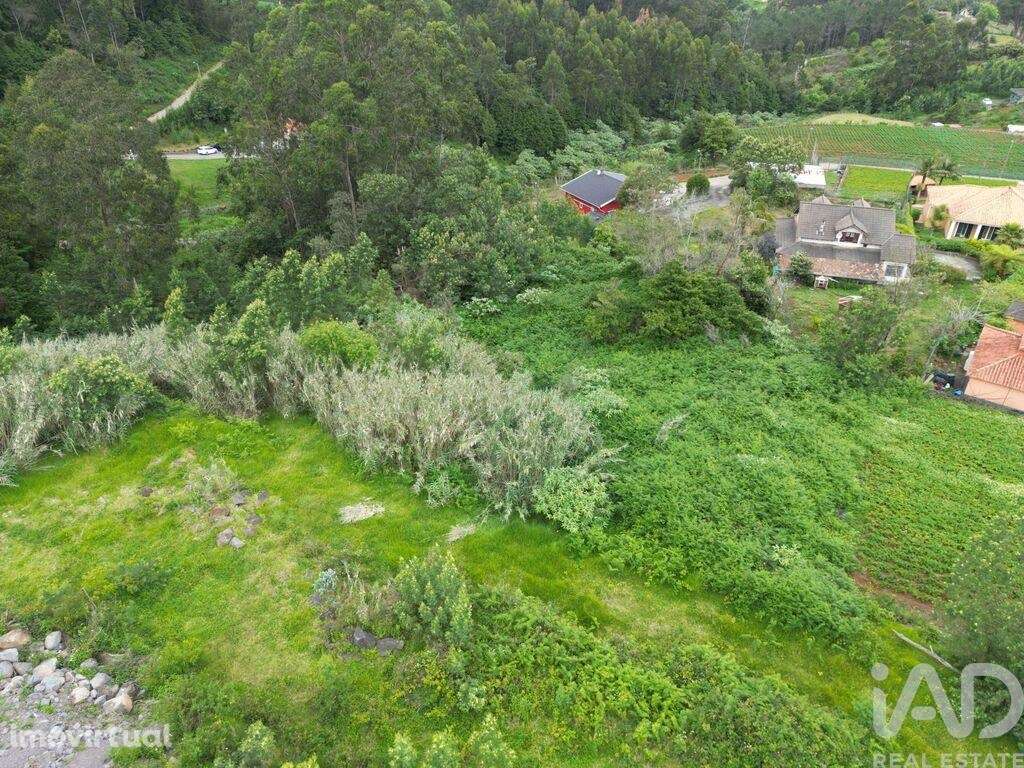 Terreno em São Jorge de 1310,00 m2 - Grande imagem: 4/6