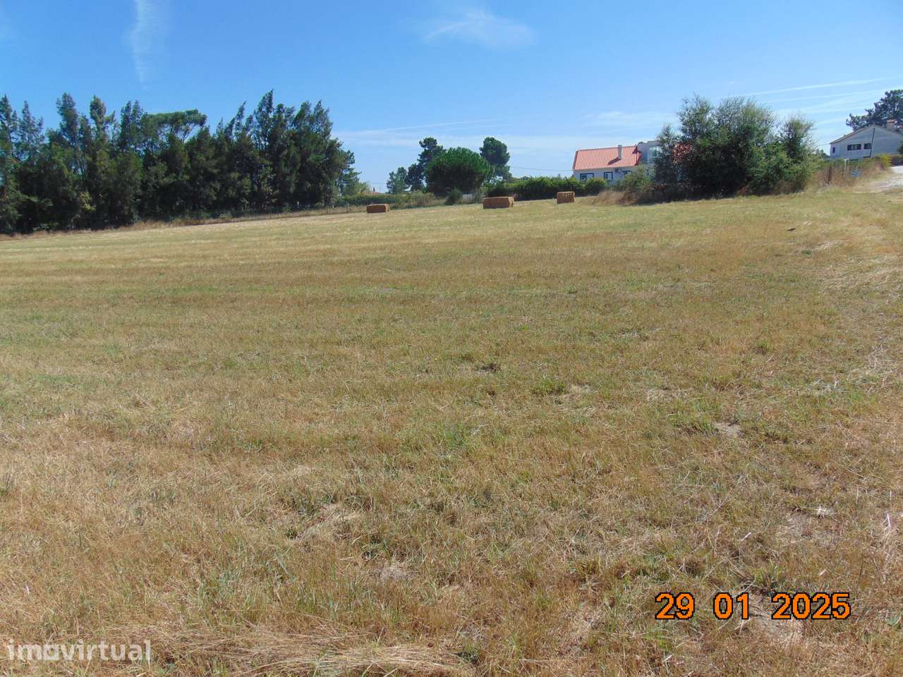 Terreno Rústico 5.000 m2 - Terrim - Pinhal Novo - Grande imagem: 3/4