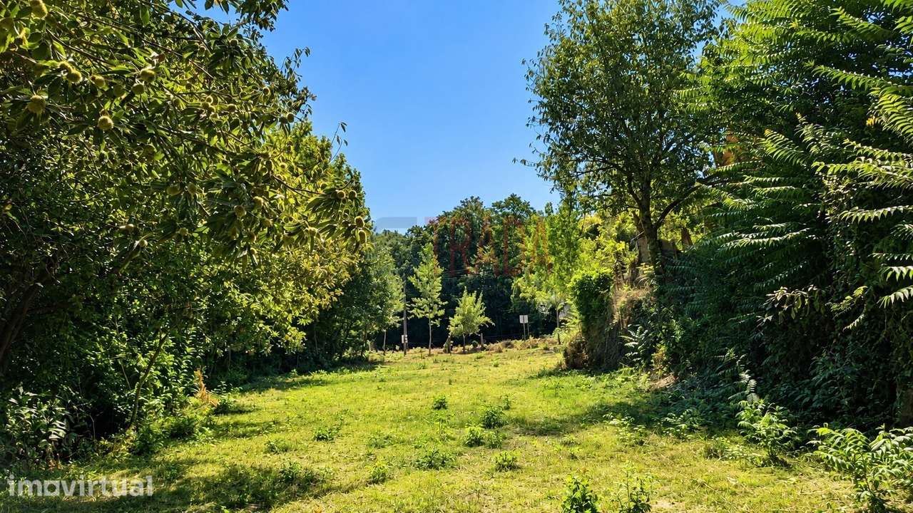 Terreno plano para construção | 1.600 m² | Balança – Terras de Bouro - Grande imagem: 5/7