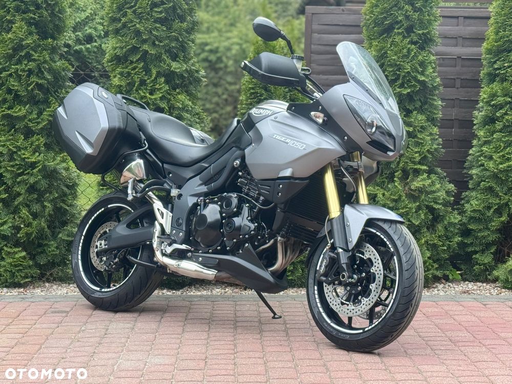 Triumph Tiger - 1