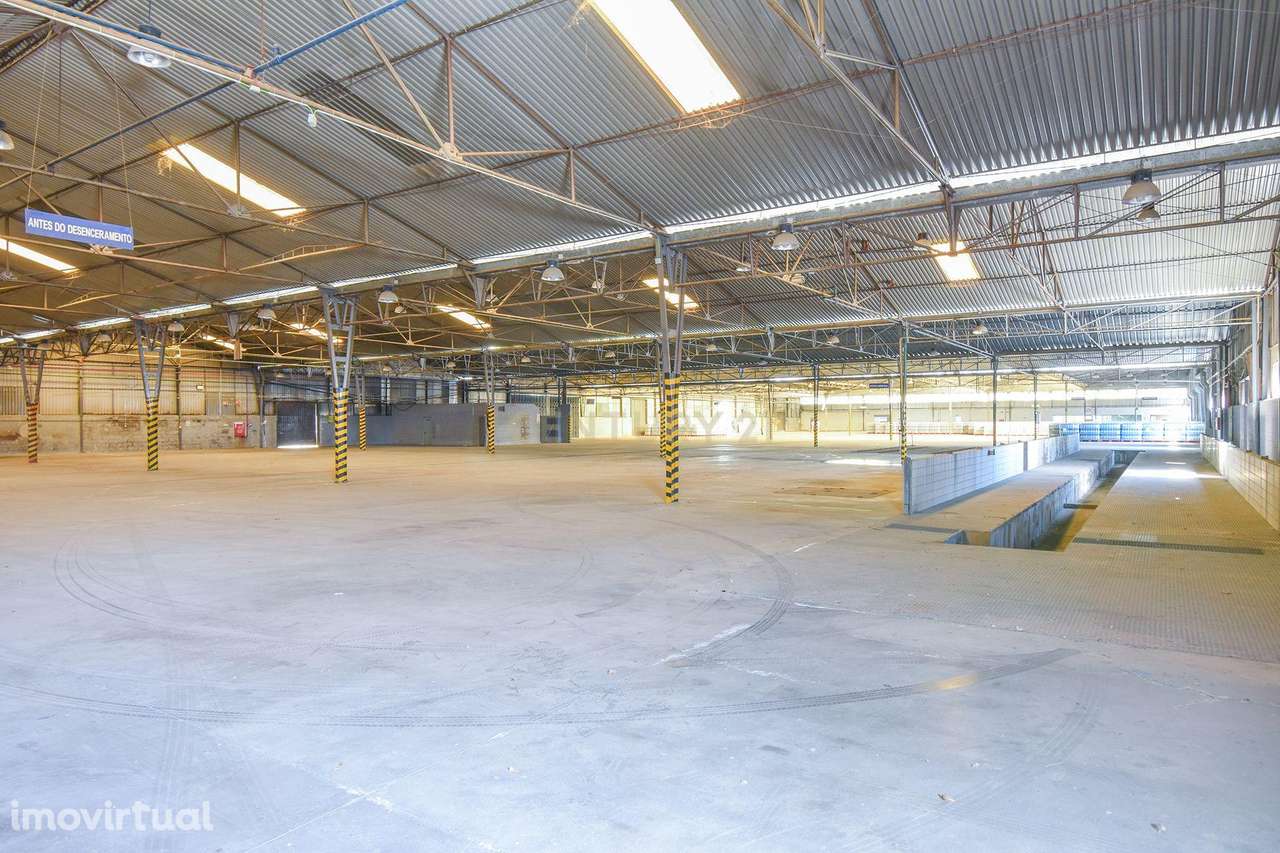 Armazém 10.000m2 Setúbal - Grande imagem: 5/10