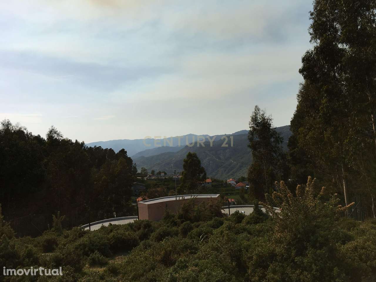 Terreno com 29500 m2 e cerca de 3000 pés de eucaliptos. - Grande imagem: 2/34