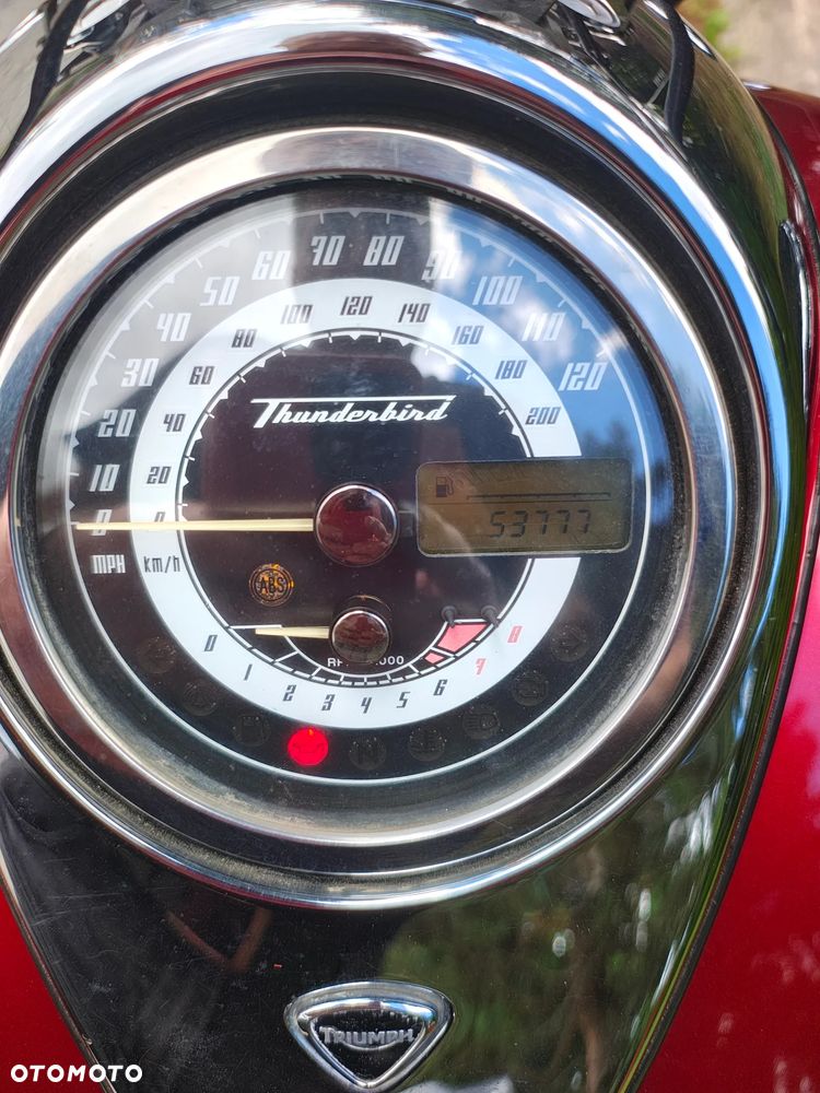 Triumph Thunderbird - 10
