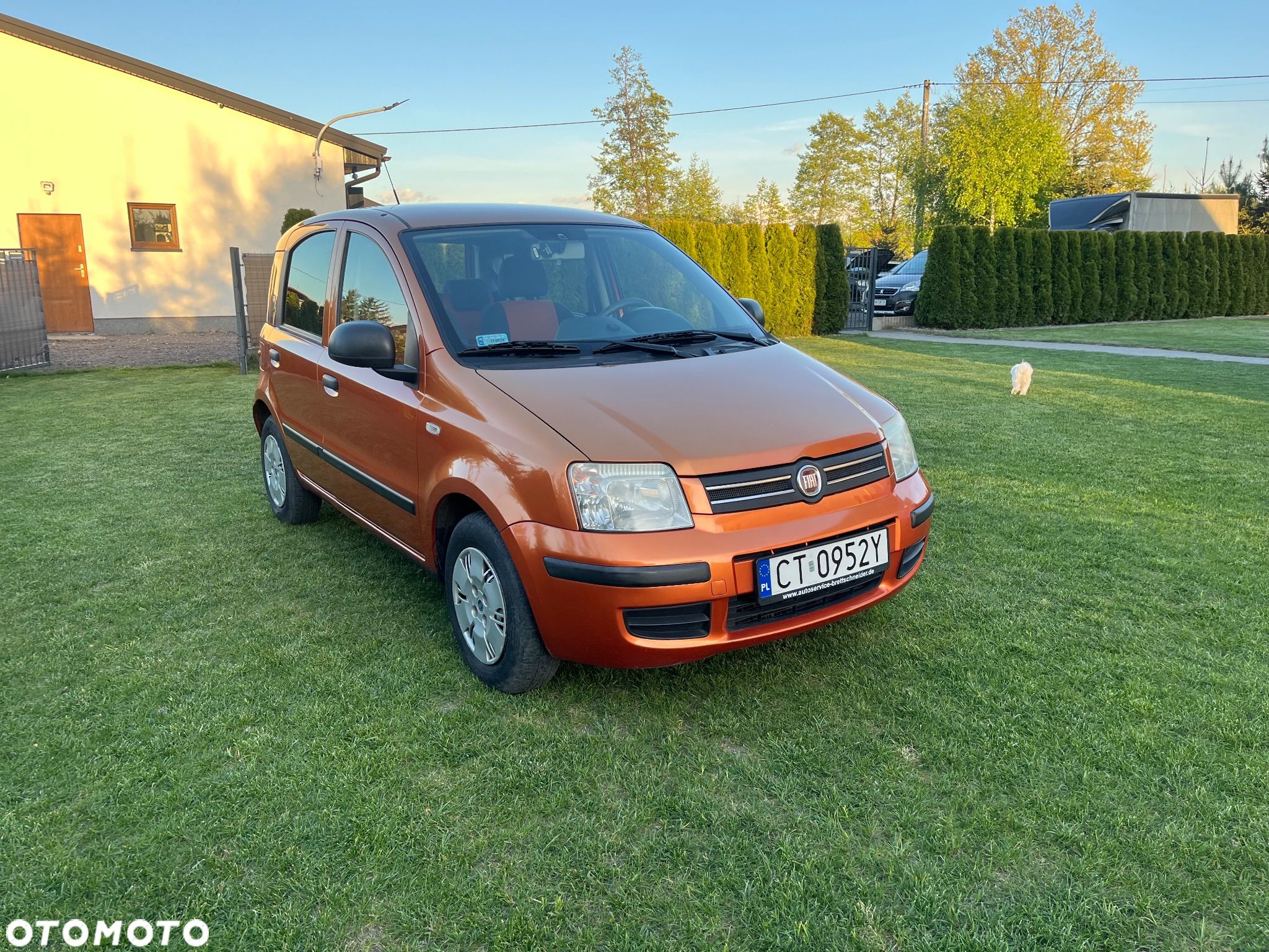 Fiat Panda - 1