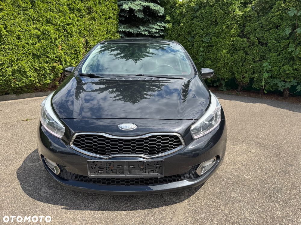 Kia Ceed 1.6 CRDi 128 ISG Fifa World Cup Edition - 11