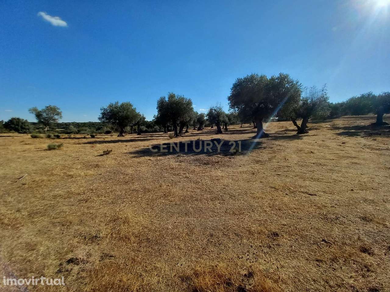 Terreno com Vista Panorâmica em Lardosa, Castelo Branco - Grande imagem: 4/9