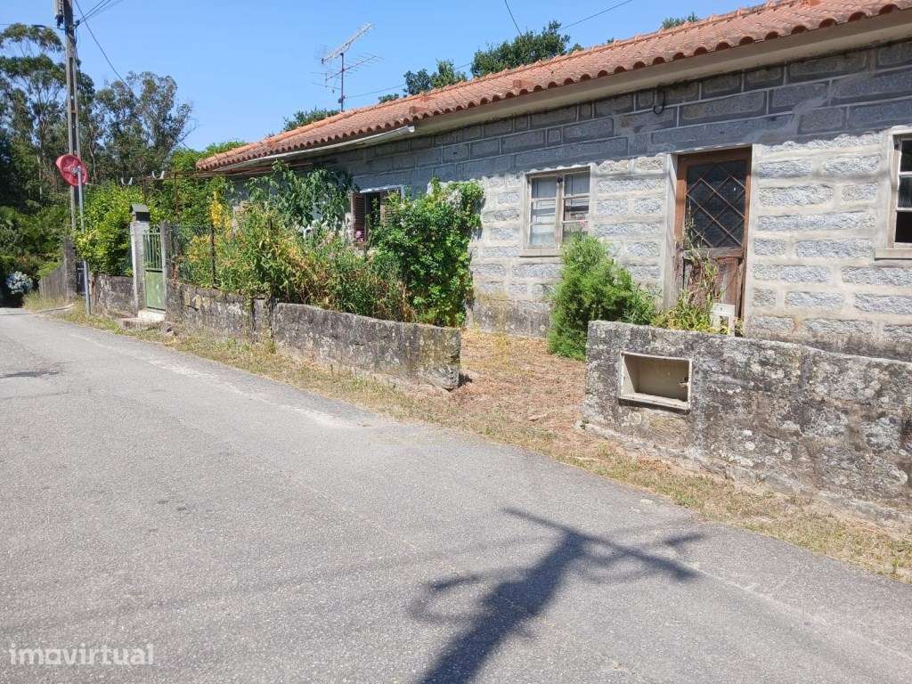 Quintinha, com 7000m2 com 4 artigos, 3 nas casa e 1 no terreno. - Grande imagem: 4/20