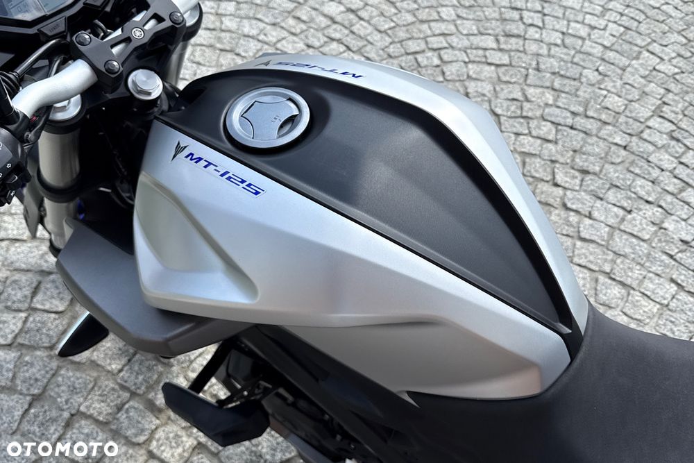 Yamaha MT - 19