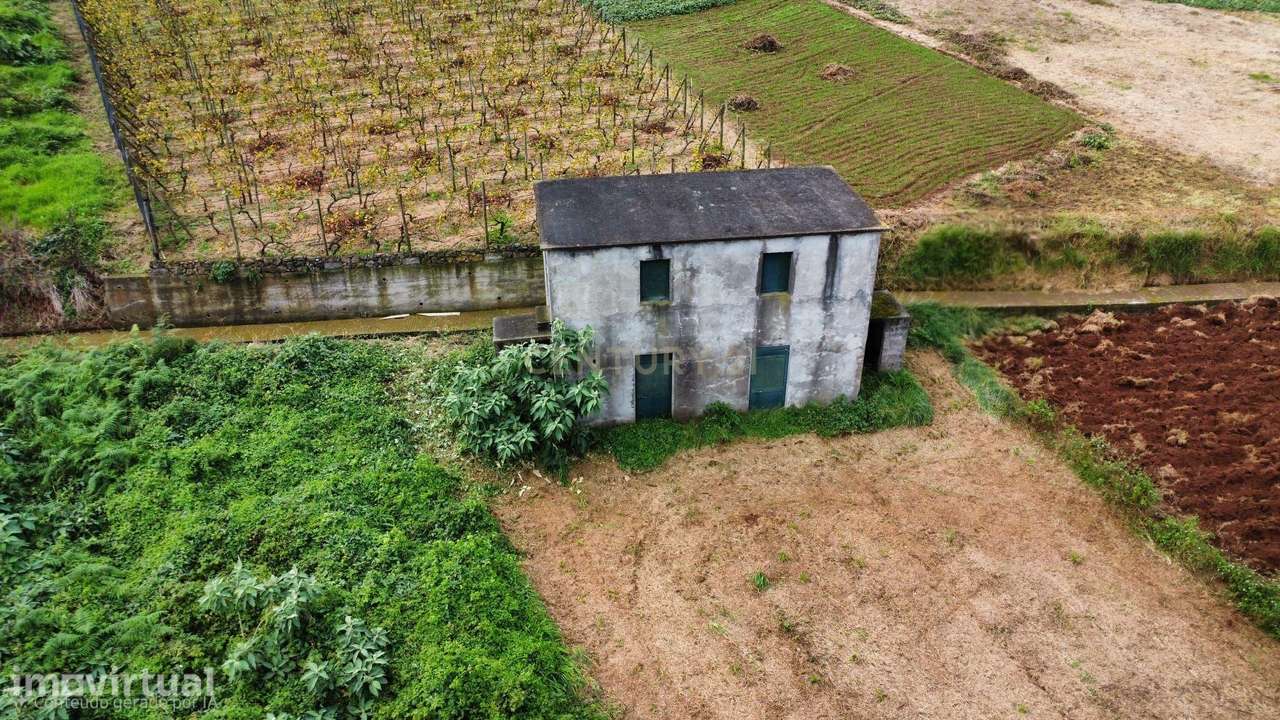 Terreno em Lamaceiros – Pomar, Porto Moniz - Grande imagem: 2/6
