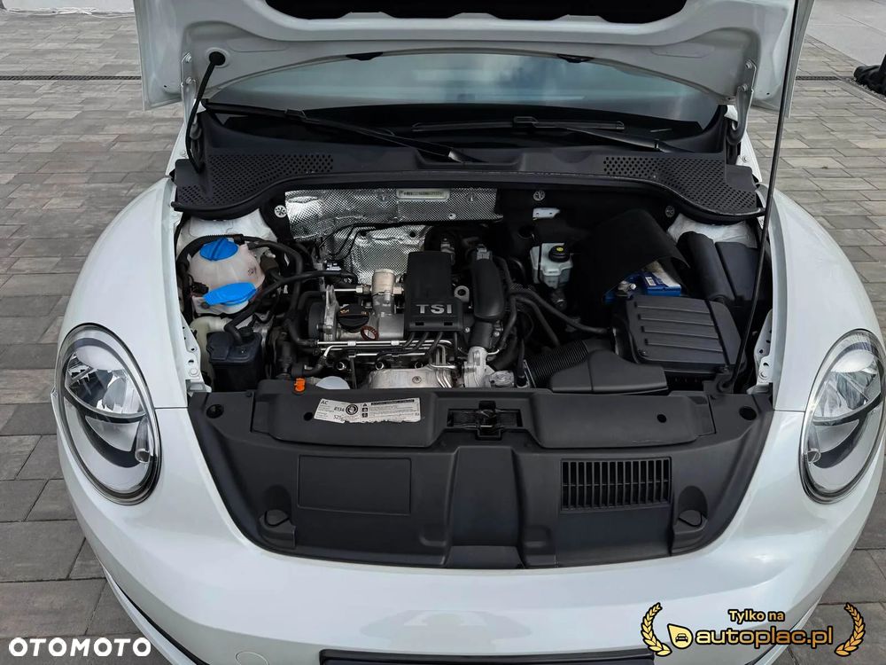Volkswagen Beetle - 7