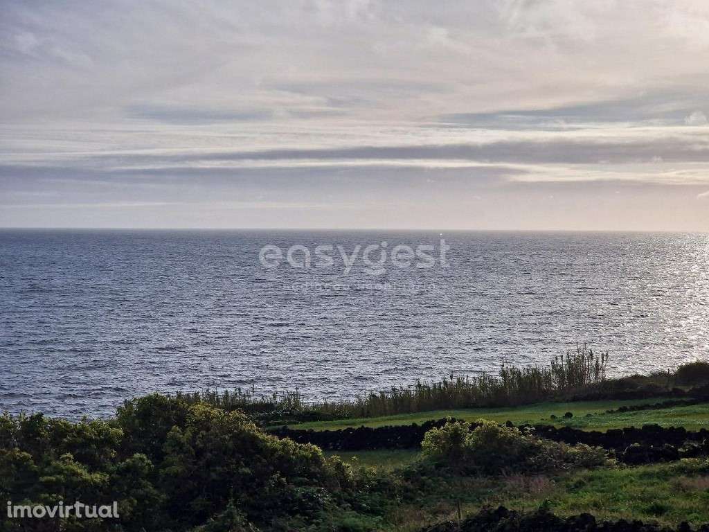 Encantadora Moradia com Vista Mar na Costa Sul da Ilha do Pico - Grande imagem: 5/21