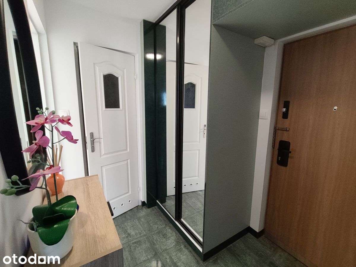 Śródmieście apartament 48m2 po kapit remoncie z oddz. kuchnią za 3400