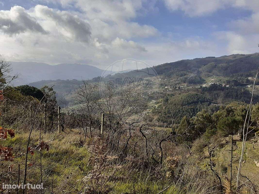 Terreno - Venda - Mesquinhata - Grande imagem: 5/9