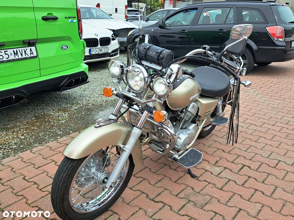 Honda Shadow - 12