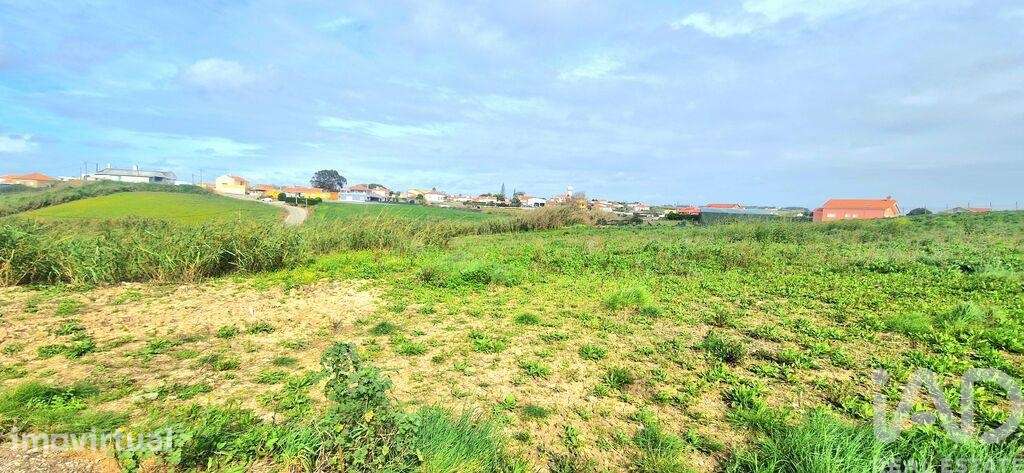 Terreno em Ericeira de 10001,00 m2 - Grande imagem: 2/19