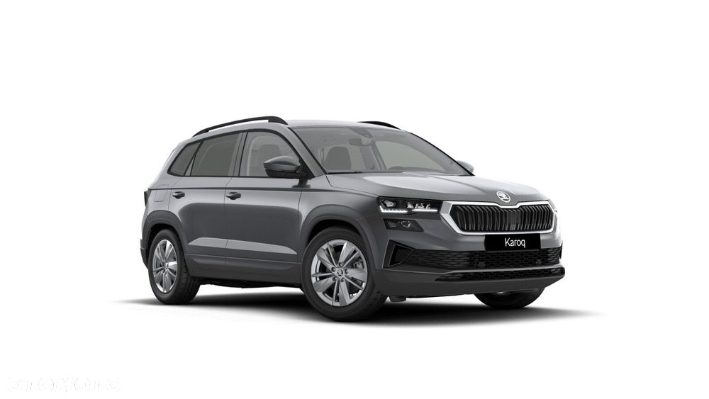 Skoda Karoq - 1