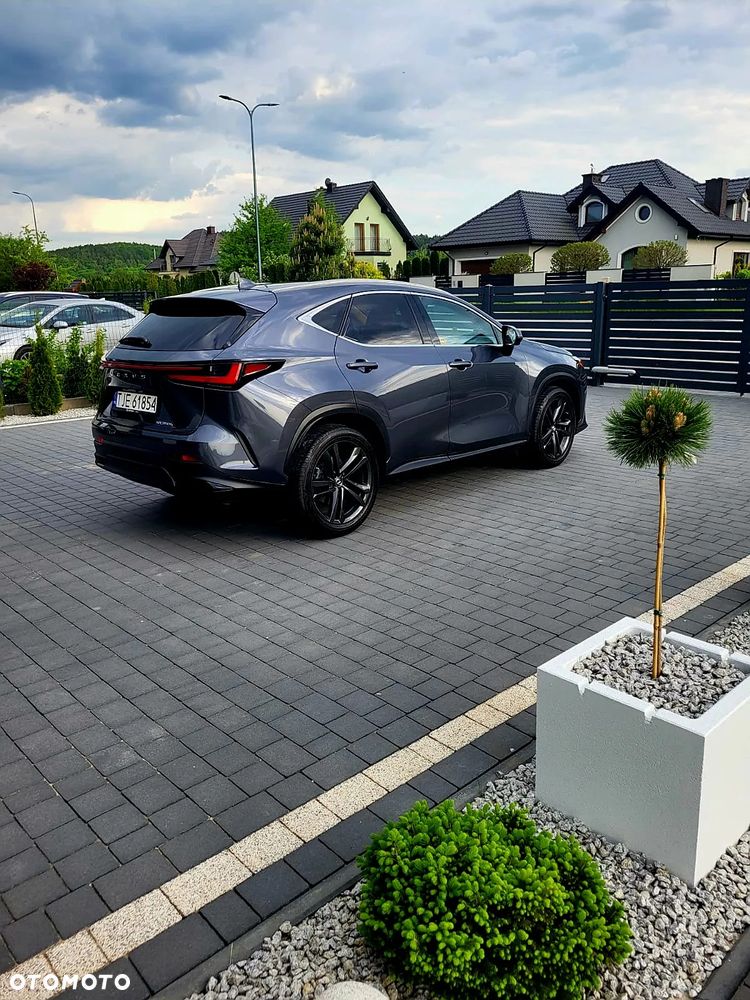 Lexus NX 350h Prestige AWD - 7