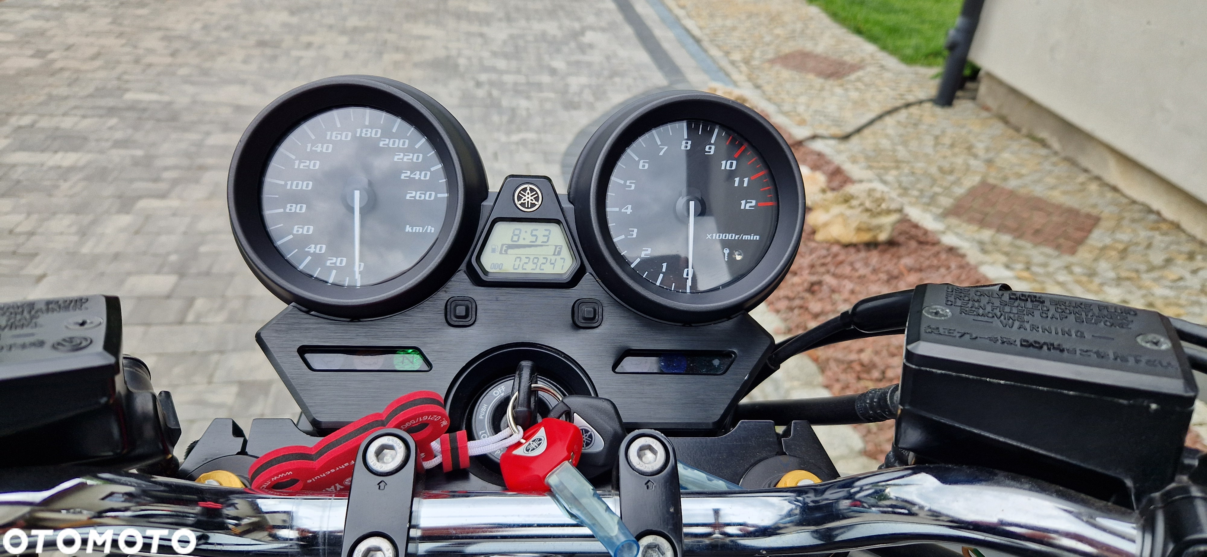Yamaha XJR - 19