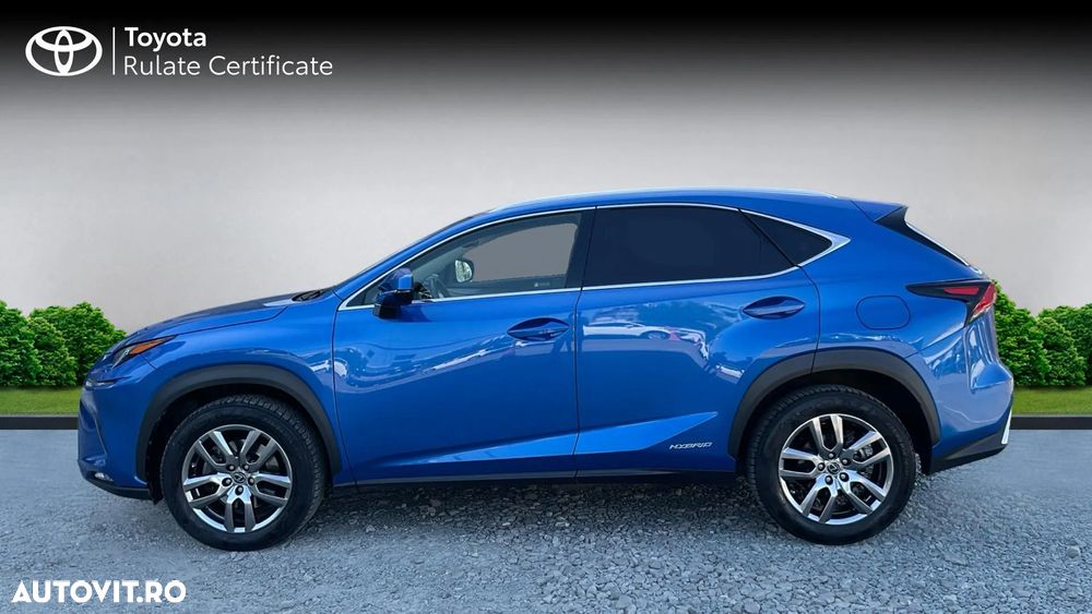 Lexus Seria NX 300h AWD Executive Plus - 6